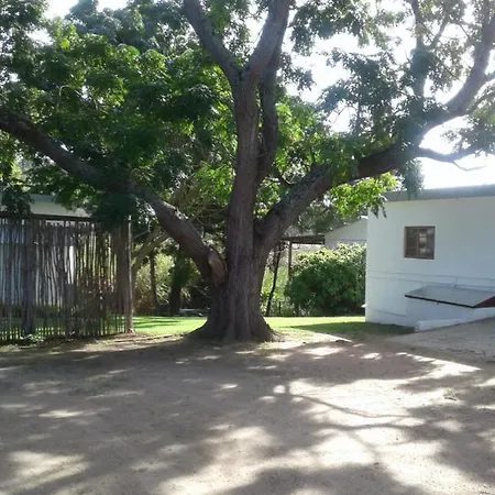 Woodpecker Apartment Plettenberg Bay Exterior photo